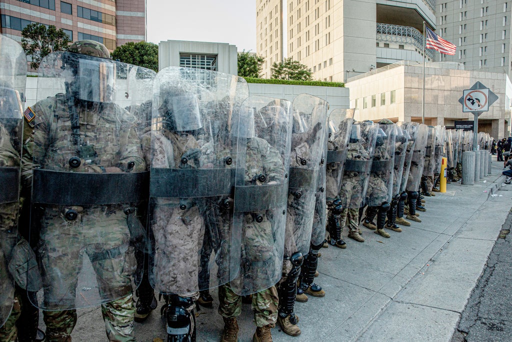 ICE, Immigration
