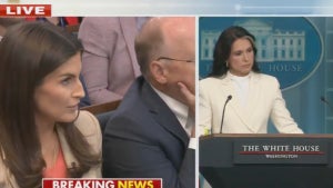 Kaitlan Collins and Tulsi Gabbard (Credit: Fox News)