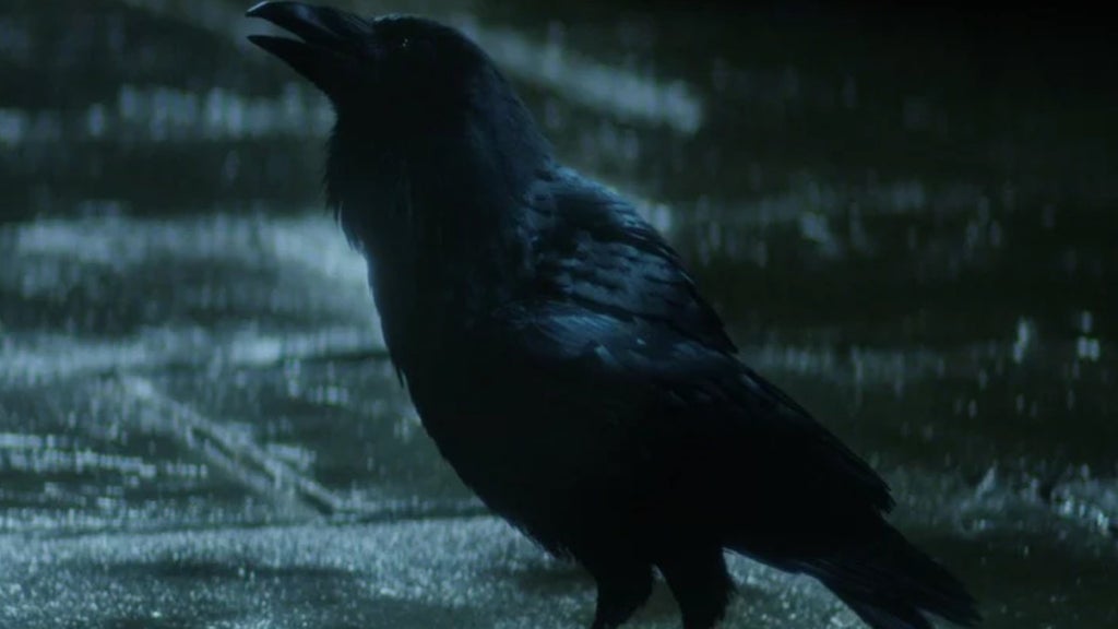 Matthew the Raven in "The Sandman" (Credit: Netflix)