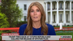Nicolle Wallace (Credit: MSNBC)