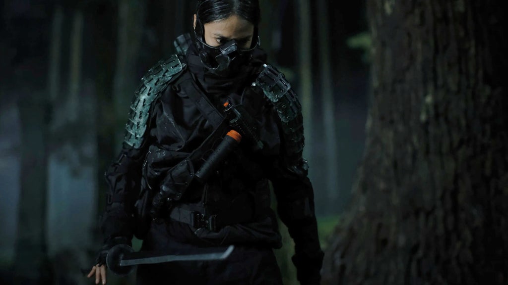 "The Shadow Strays" (Netflix)