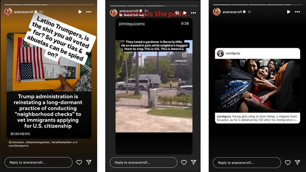Ana Navarro's Instagram Stories (@ananavarrofl/Instagream)