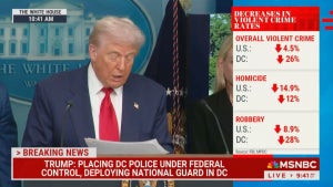 Donald Trump on during press conference (MSNBC)