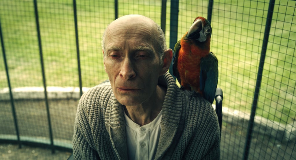 wednesday-season-2-augustus-stonehurst