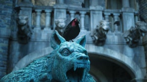 wednesday-season-2-part-1-raven