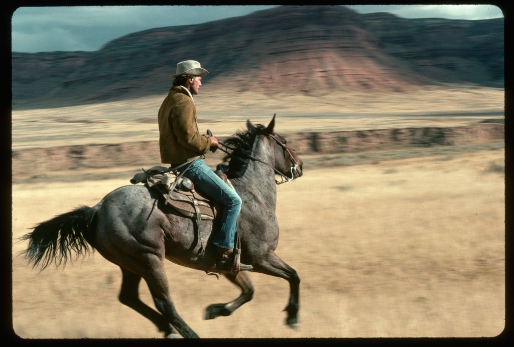 Robert Redford