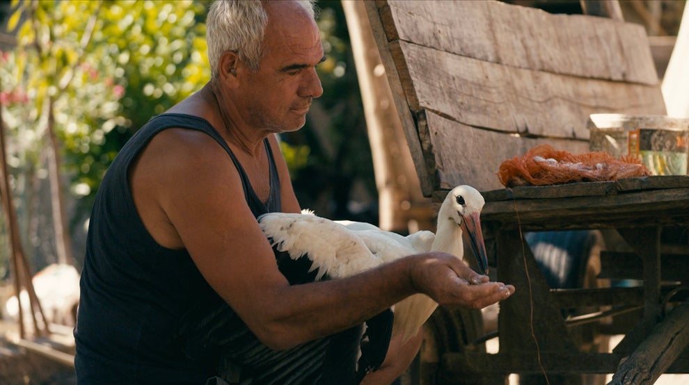 The Tale of Silyan Nat Geo