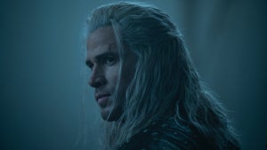 The Witcher
