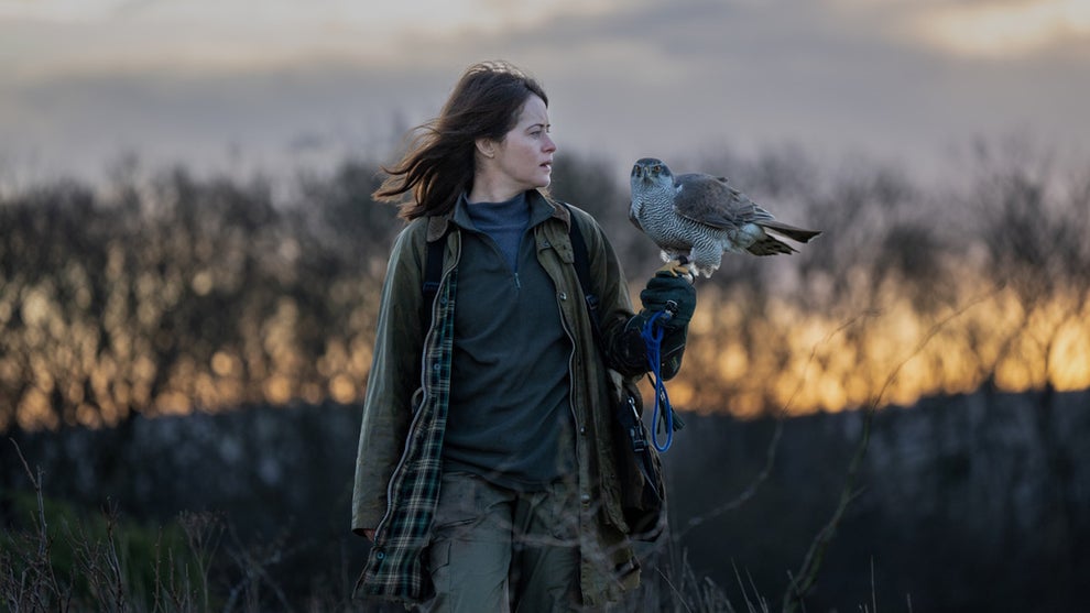 H is for Hawk