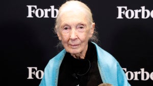 Dr. Jane Goodall attends the 2025 Forbes Sustainability Summit on Sept. 22, 2025. (Credit: Taylor Hill/Getty Images)