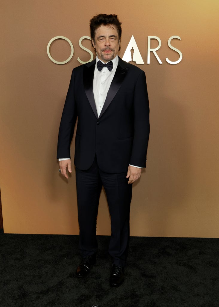 Benicio del Toro