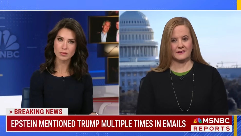 Jeffrey Epstein abuse survivor Liz Stein speaks with Ana Cabrera on Nov. 12, 2025 (Credit: MSNBC)