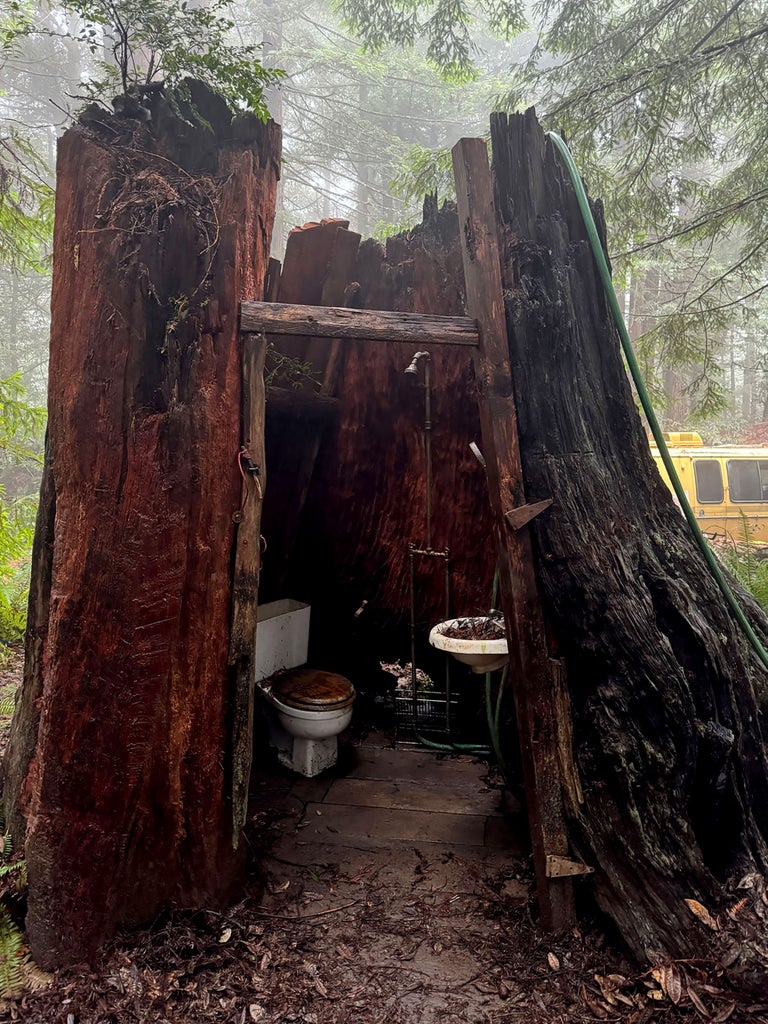 Tree trunk outhouse on the set of "One Battle After Another" (Warner Bros.)