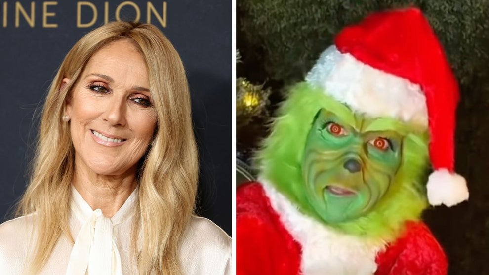 Céline Dion, Céline Dion as Jim Carrey's Grinch (Getty Images, @celinedion/Instagram)