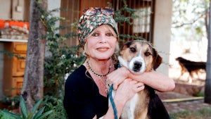 Animal rights activist Brigitte Bardot visits her dog refuge "The Nice Dogs" of Carnoules on October 7, 2001 in Paris, France