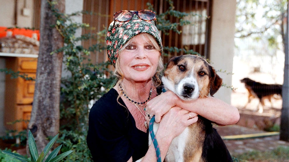 Animal rights activist Brigitte Bardot visits her dog refuge "The Nice Dogs" of Carnoules on October 7, 2001 in Paris, France