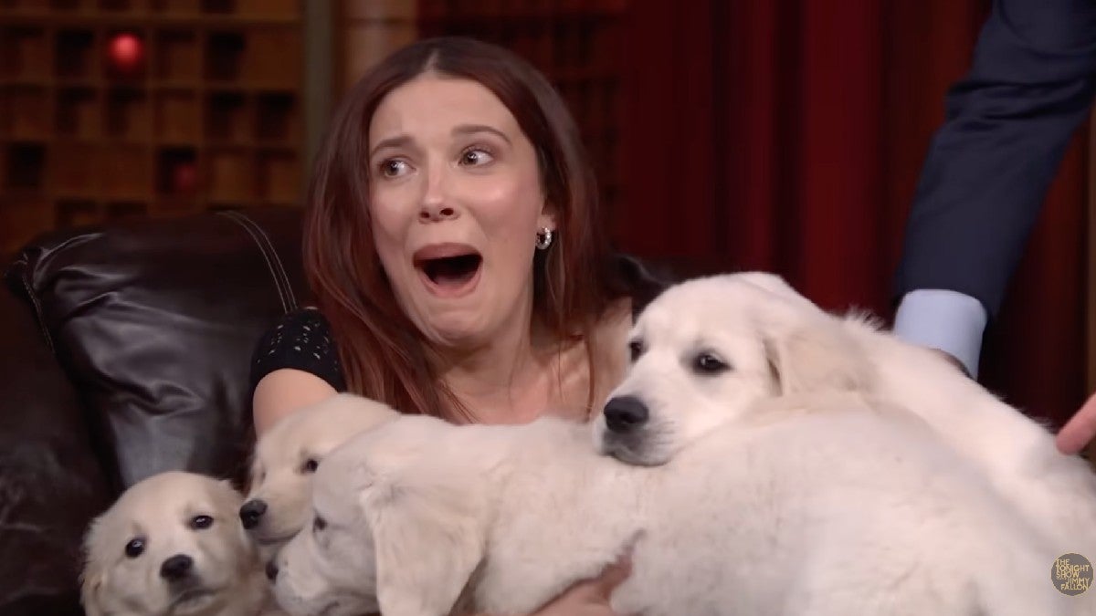 Watch Millie Bobby Brown Literally Get Buried in a Puppy Mountain on ‘The Tonight Show’ | Video
