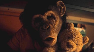 The 3 Best Movies to Watch on Paramount+ This Week