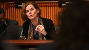 State Sen. Patricia Fahy
