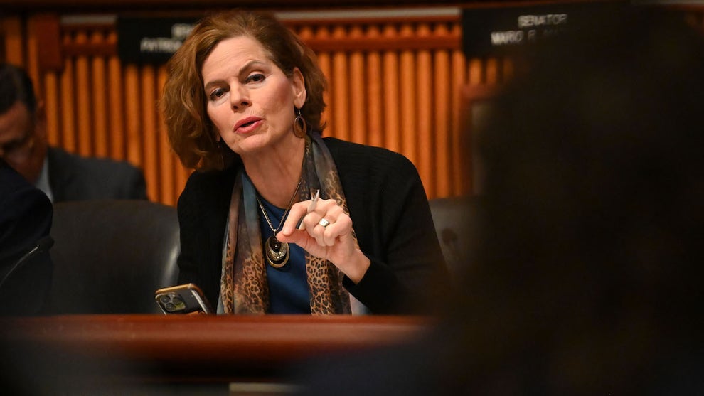State Sen. Patricia Fahy