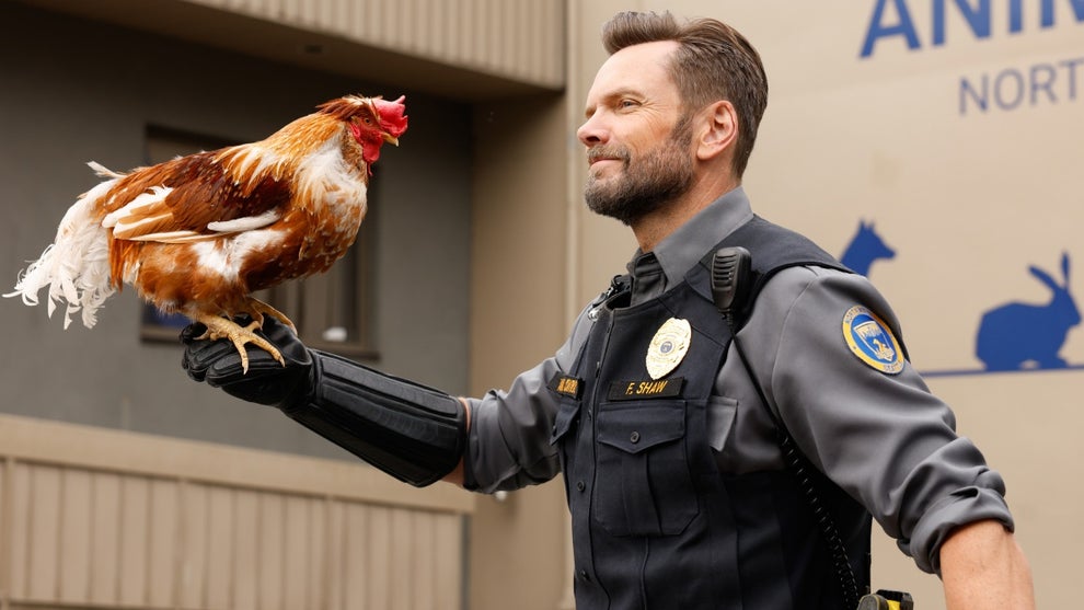 Animal Control
