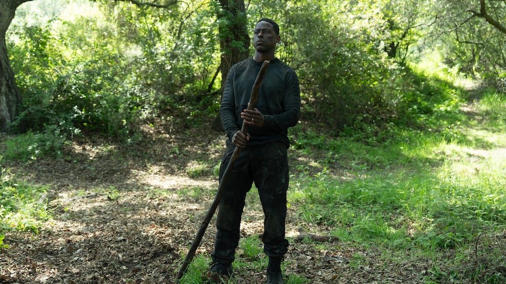 paradise-sterling-k-brown-1-disney
