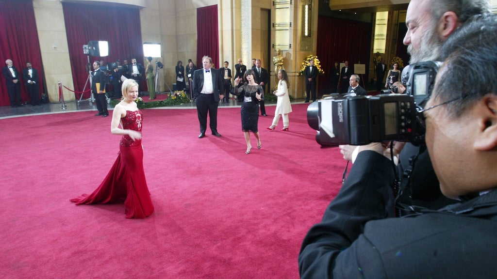 75th Oscars - Renee Zellweger carpet