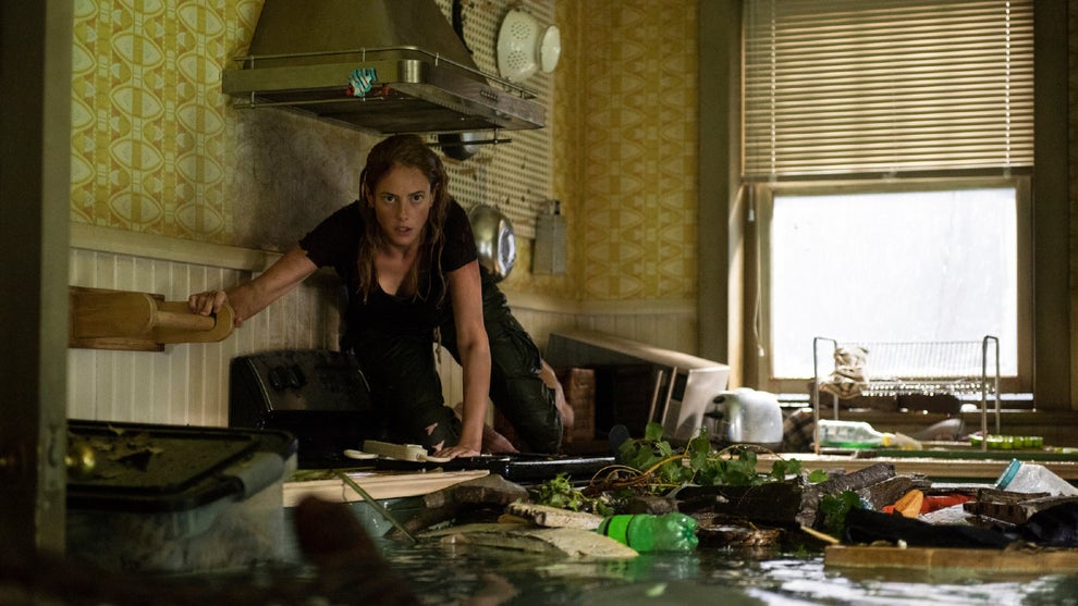“Crawl” (Paramount Pictures)