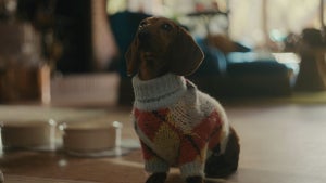 Burberry the Dog in "Beef" Season 2 (Netflix)