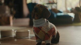 Does the Dog Die in ‘Beef’ Season 2?