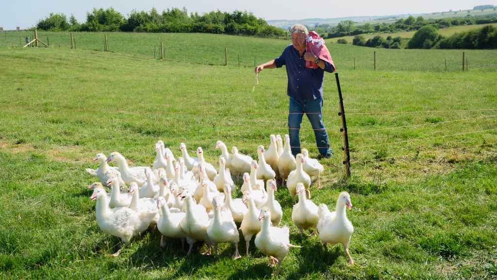 "Clarkson's Farm" Season 5 (Ellis O'Brien/Prime Video)