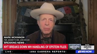 Former John McCain Adviser Says Trump-Epstein Fallout Is ‘Worst Case Possible’ for President | Video