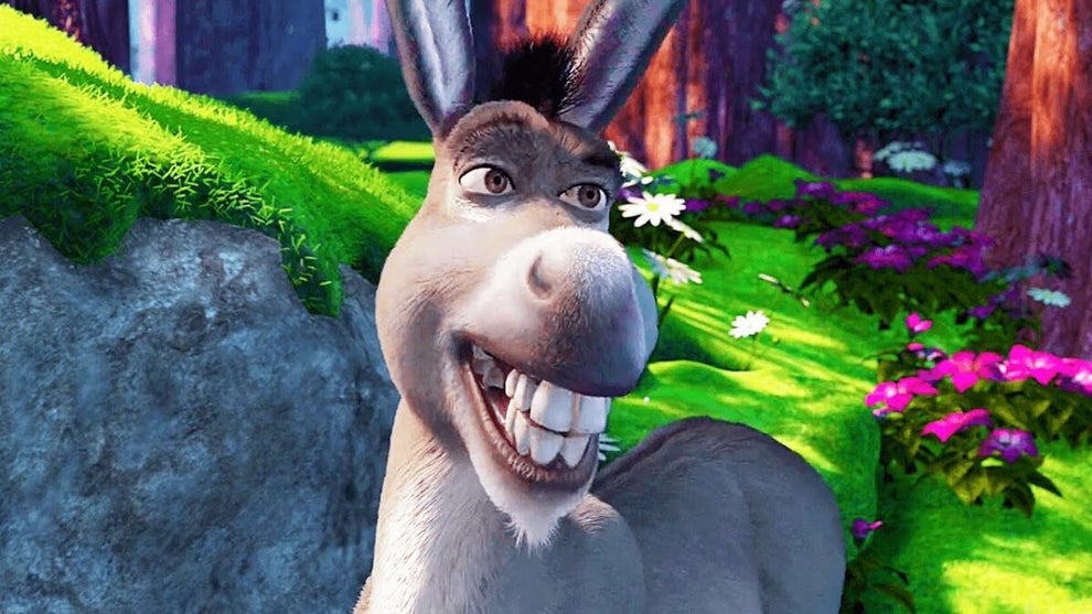donkey-shrek