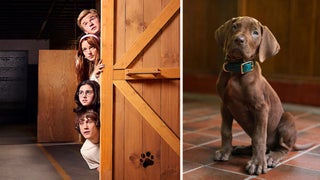 ‘Scooby-Doo: Origins’ Rounds Out Live-Action Cast at Netflix With Sara Gilbert, Sherilyn Fenn and 13 More