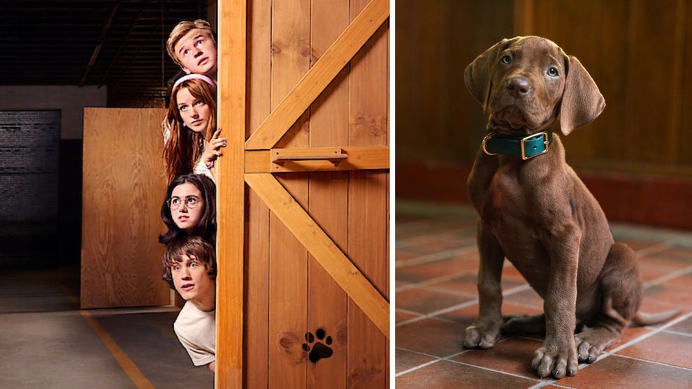 Scooby-Doo: Origins