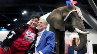 Texas GOP Live Elephant Pees on Convention Floor in Front of Press, Prompts Welfare Concerns | Video