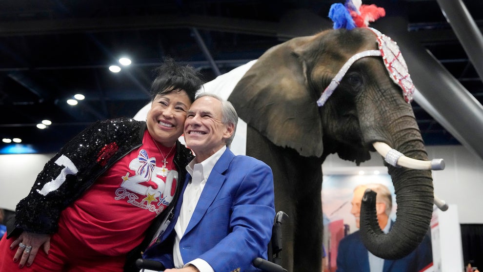 Paige the elephant