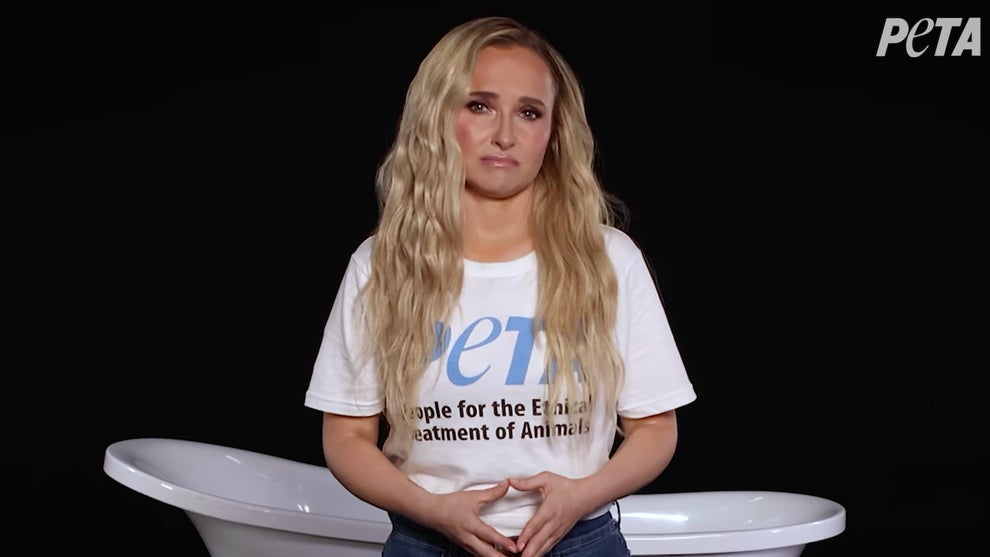 Hayden Panetierre (Credit: PETA)