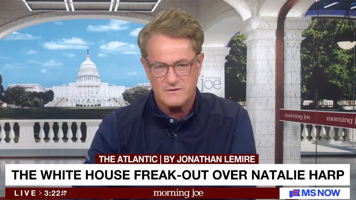 ‘Morning Joe’ Blames the White House for Natalie Harp Scandal: ‘Classic Miscalculation’