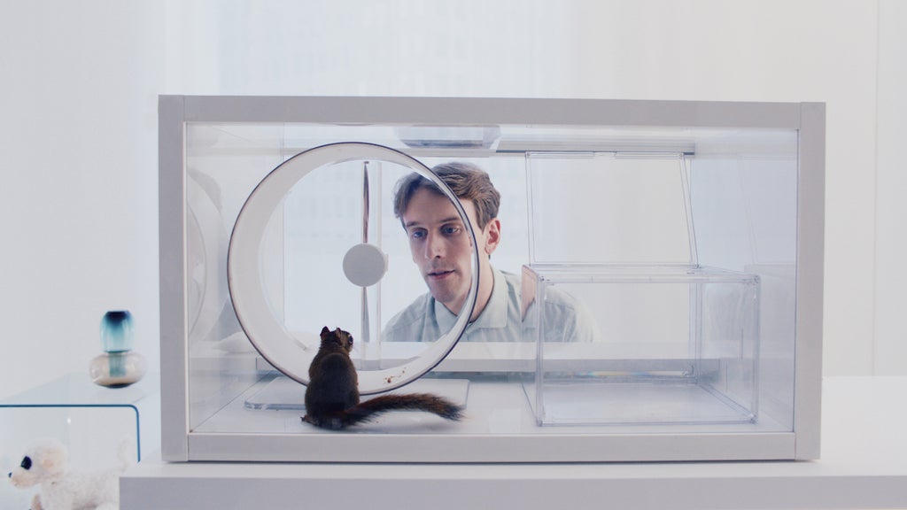 The Squirrel