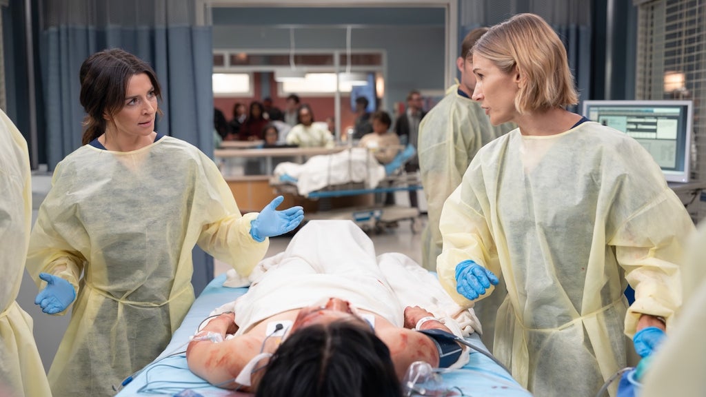 greys-anatomy-caterina-scorsone-jen-landon-disney