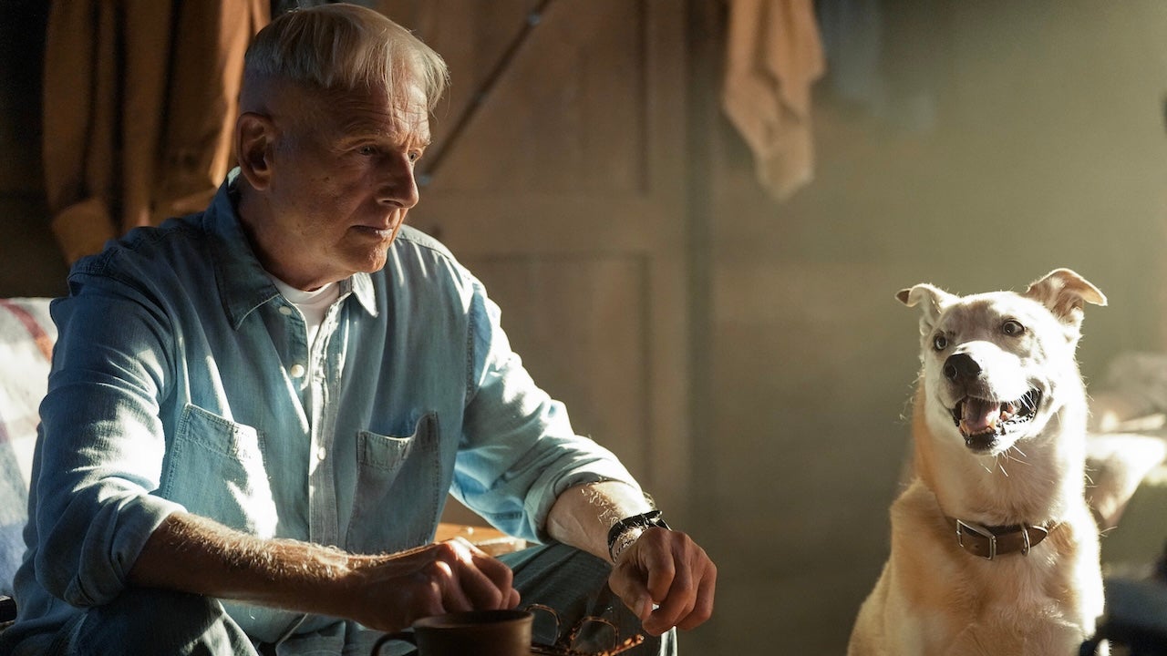 ncis-origins-mark-harmon-cbs