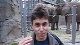 Happy 8th Anniversary, YouTube (Well, the First Video Upload, Anyway)