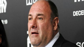 James Gandolfini’s Will Leaves Estimated $70M Estate to Family and Friends