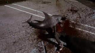‘Sharknado’ Encore Tops Its Premiere by 500K Viewers