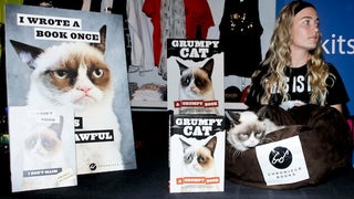 Hollywood’s Rising Media Star Grumpy Cat Sparks Feline Frenzy at Kitson