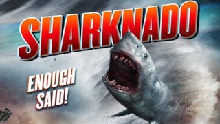 ‘Sharknado’ Writer Spills Sequel Scenes, 1 Bone to Pick With the Movie