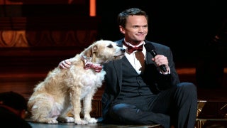 Neil Patrick Harris Returning to Broadway in ‘Hedwig and the Angry Inch’