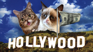 Rise of the Hollywood Cats: Inside Grumpy Cat and Lil BUB’s Big Deals