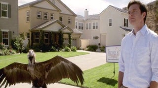 ‘Arrested Development’ New Season Trailer Released